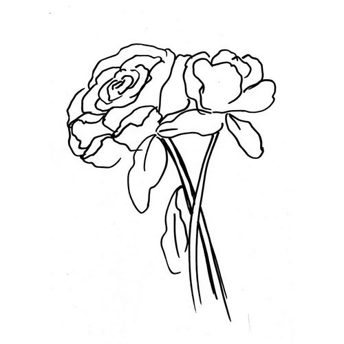 Chapman, Marcy 아티스트의 Hand Sketch Roses III 작품