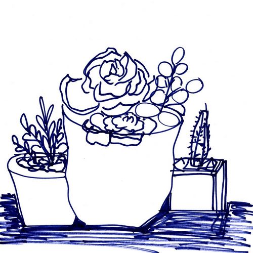 Chapman, Marcy 아티스트의 Hand Sketch Succulents blue 작품