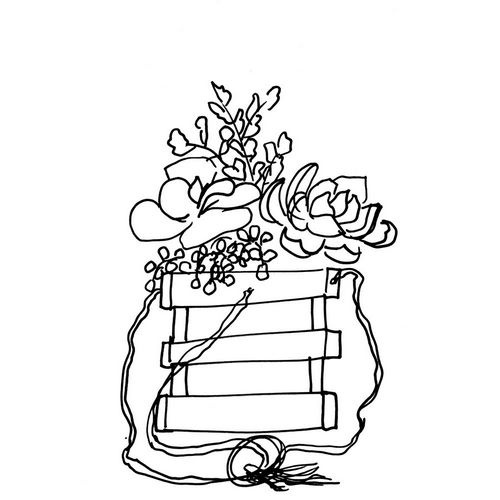 Chapman, Marcy 아티스트의 Hand Sketch Hanging Succulents black 작품