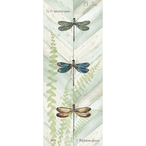 Dragonfly Botanical Panels I
