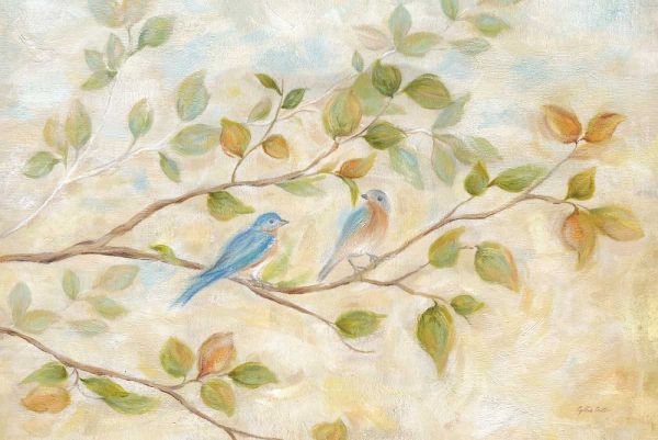 Blue Birds Branch