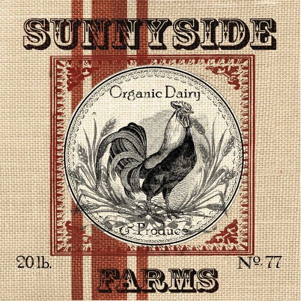 Organic Farm I
