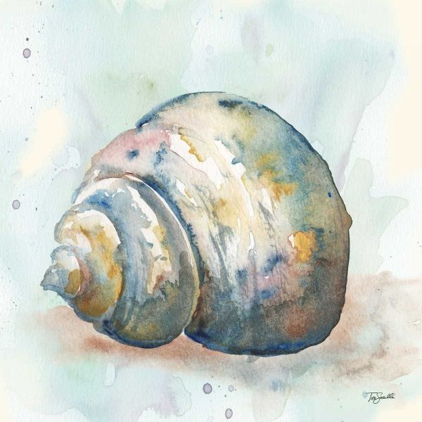 Watercolor Shells IV