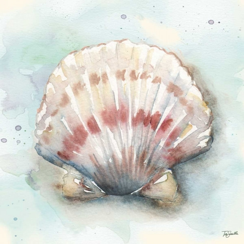 Watercolor Shells VI