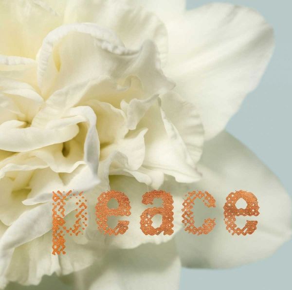 Peace Blossom