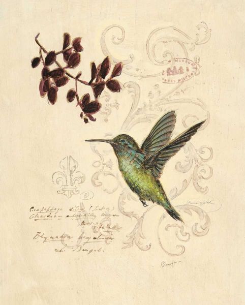 Filigree Hummingbird