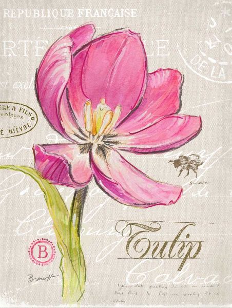 Sketchbook Tulip