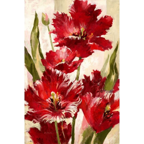 Jubilant Red Tulip