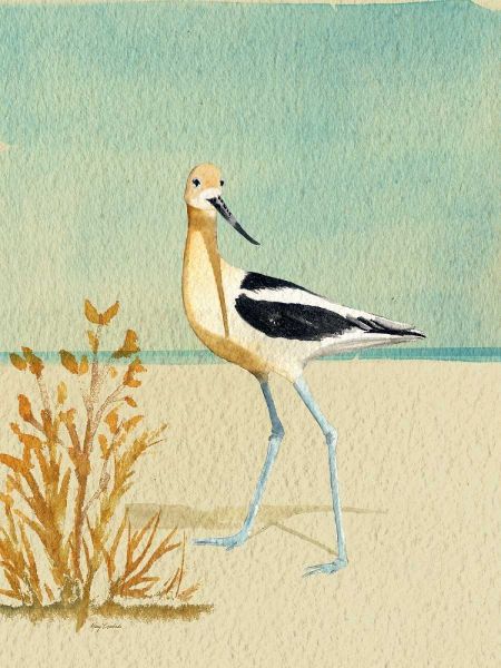 Avocet By The Sea