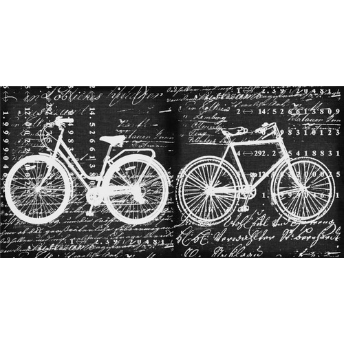 Script Bicycle