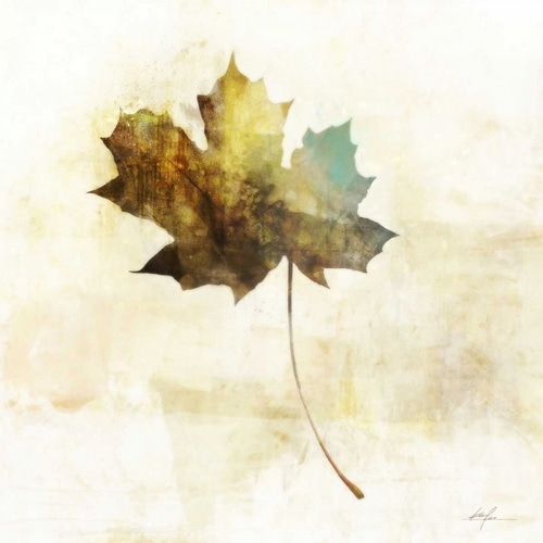 Falling Maple Leaf 2