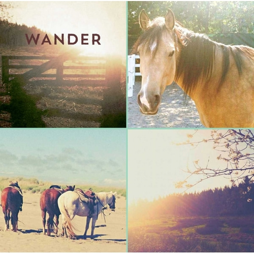 Horses And Sunburst WANDER