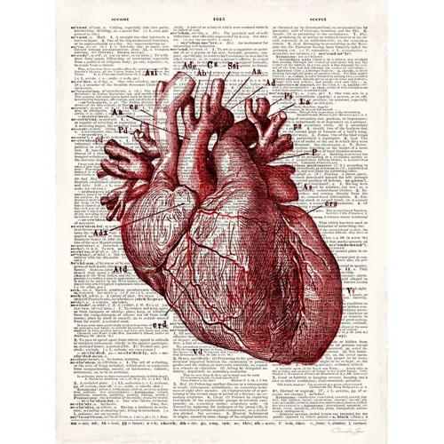 Vintage Anatomy Heart