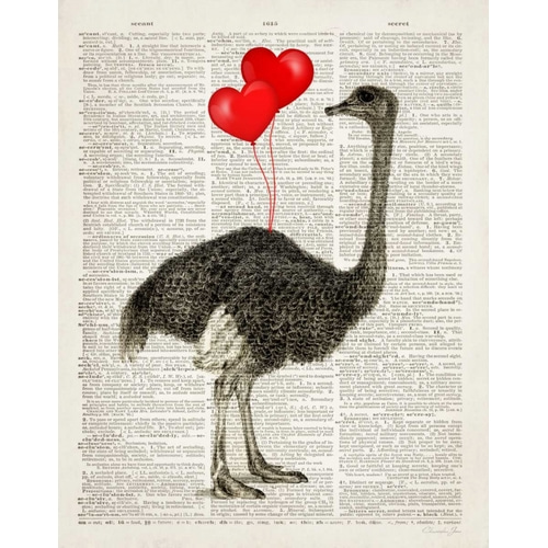 Ostrich In Love