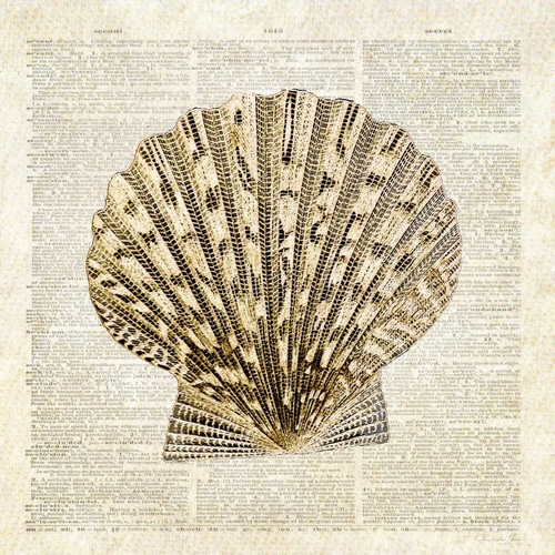 Scallop Shell Pages