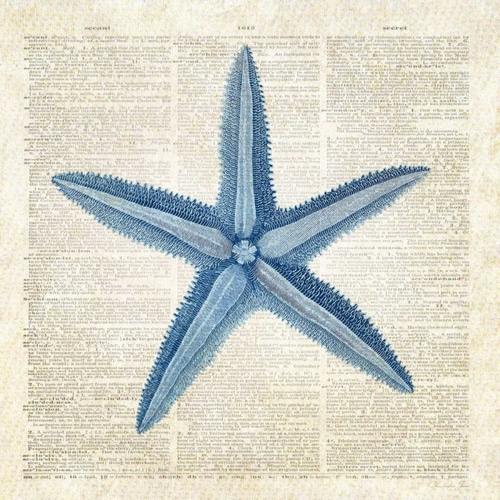 Starfish Pages