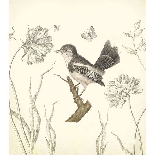 Botanical Song Bird 2