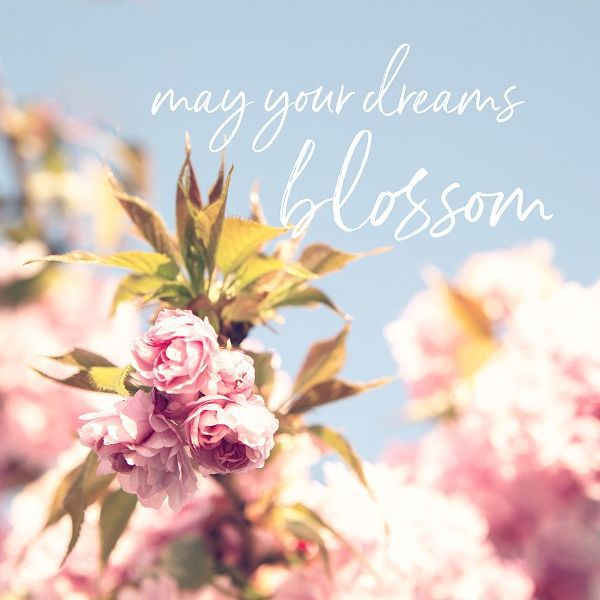 May Your Dreams Blossom