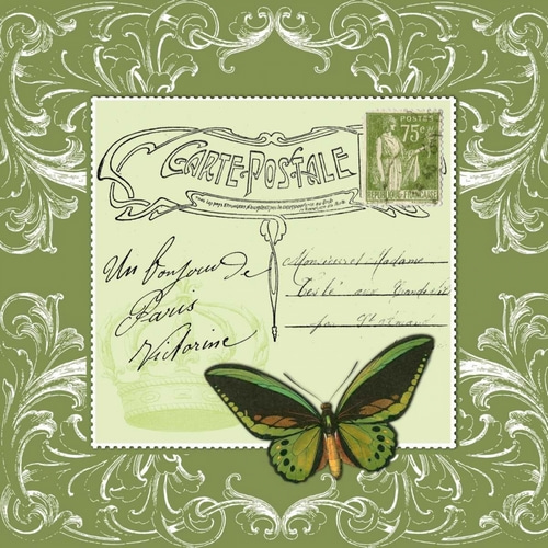 Butterfly Carte Postale Green