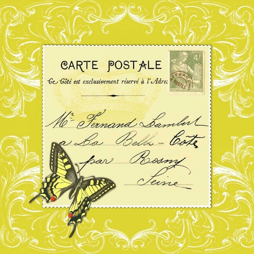Butterfly Carte Postale Cirtrus