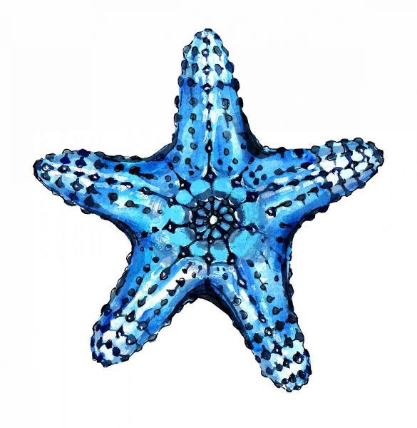 Sea Blue Starfish