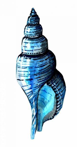 Sea Blue Shell