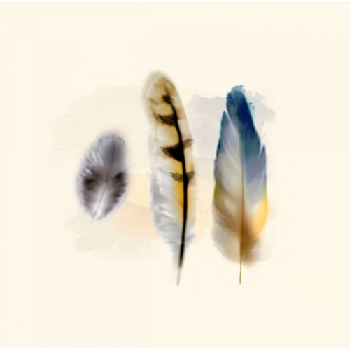 Three Feather Study 2