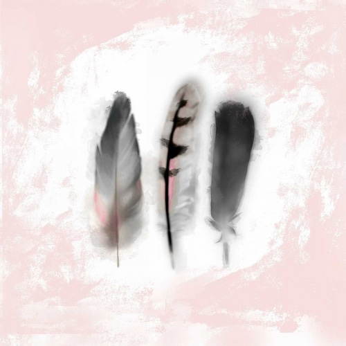 Watercolor Feather Study 1 in Pink