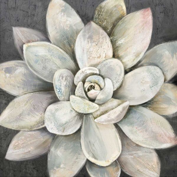 Silver Succulent