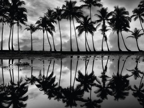 Palm Reflection