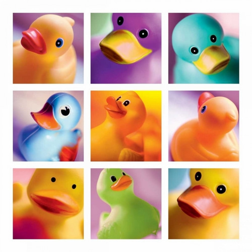 Duck Family Portraits