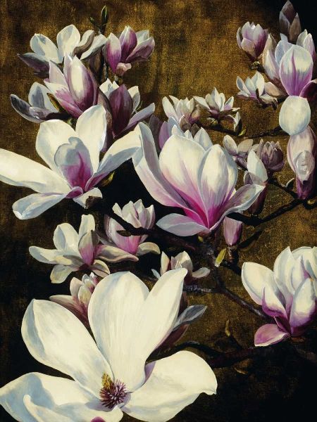 Magnolia Silk
