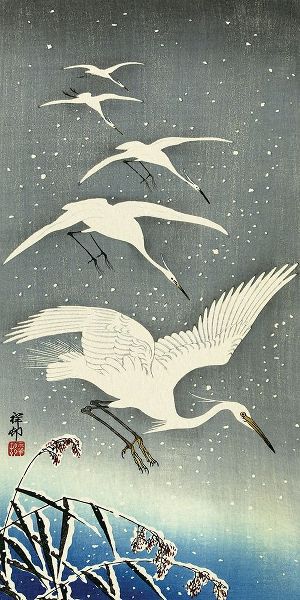 White Birds in Snow