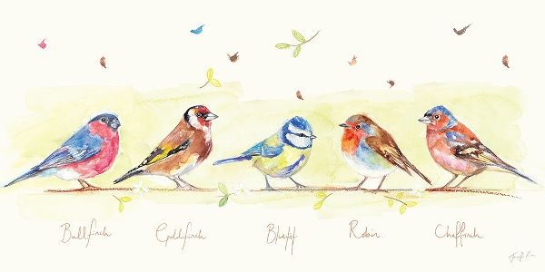 Line of Garden Birds