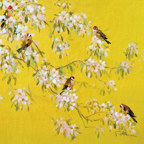 Prentice, Fletcher 아티스트의 Spring Goldfinches작품입니다.