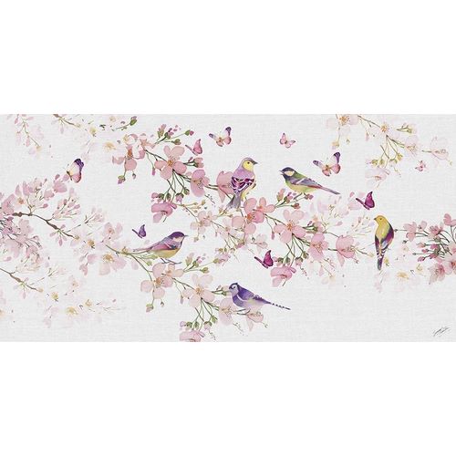 Birds and Blossom