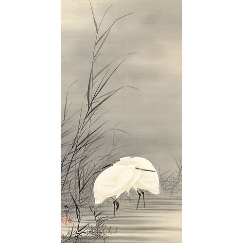 Koson, Ohara 아티스트의 Egrets in a Swamp작품입니다.