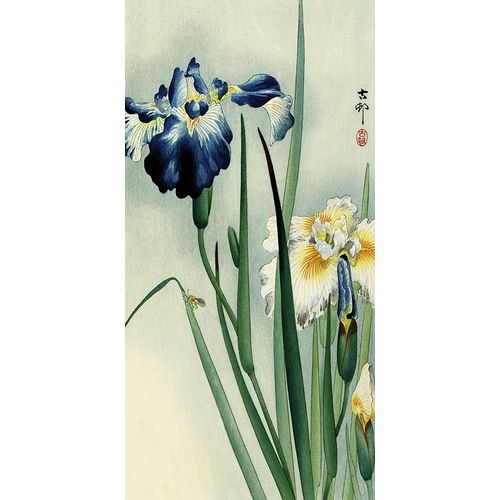 Koson, Ohara 아티스트의 Irises작품입니다.