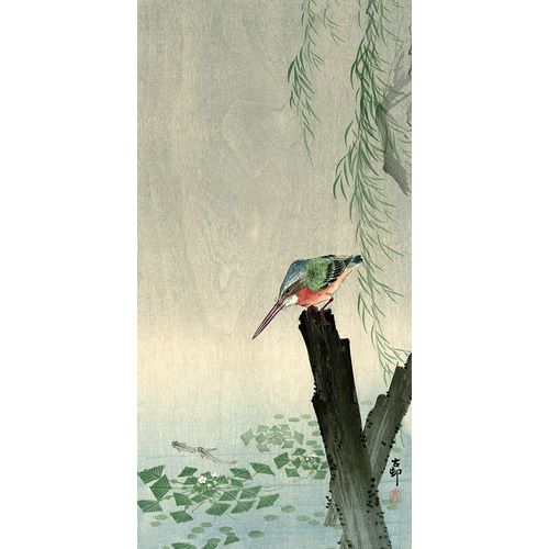 Koson, Ohara 아티스트의 Kingfisher작품입니다.