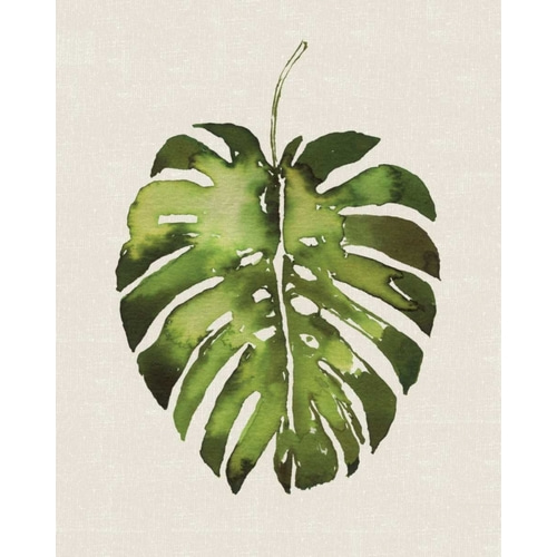 Tropical Leaf I