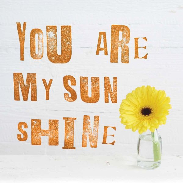 You Are My Sun Shine