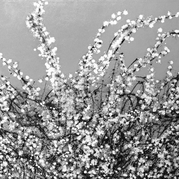 Spring Blossom on Grey