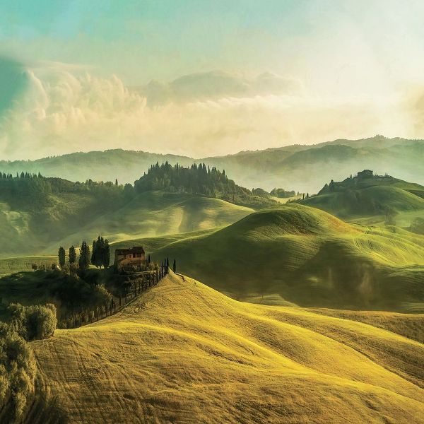 Tuscan Dreams IV