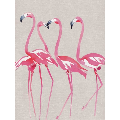 Elegant Flamingos