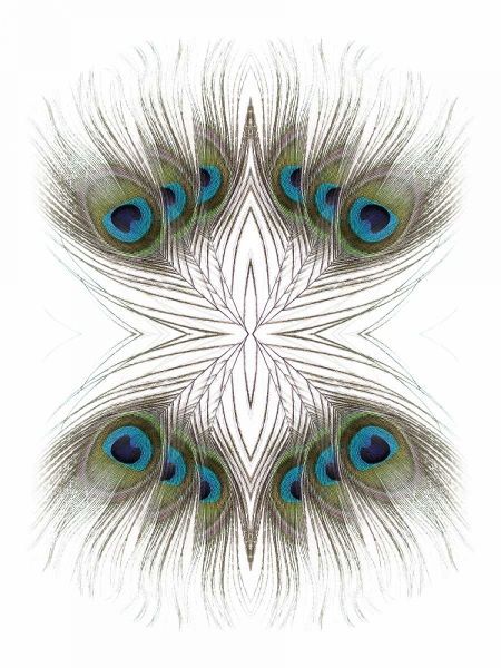 Peacock Feathers Kaleidoscope