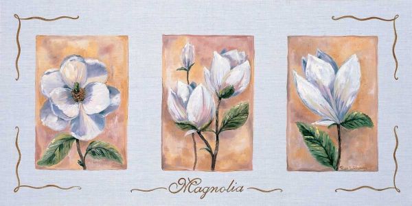 Magnolia Triptychon