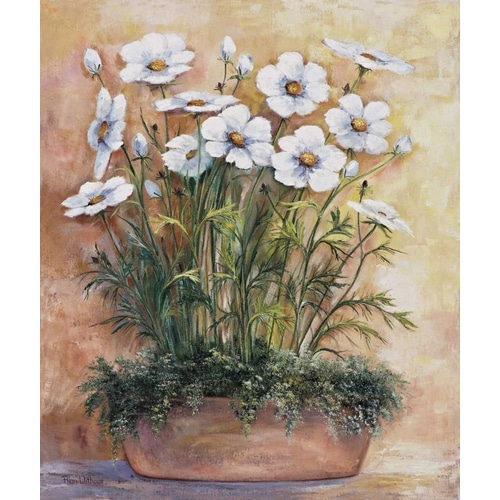 White anemones in bowl
