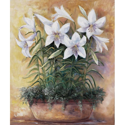 White lilies in bowl