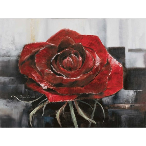 Blooming red Rose