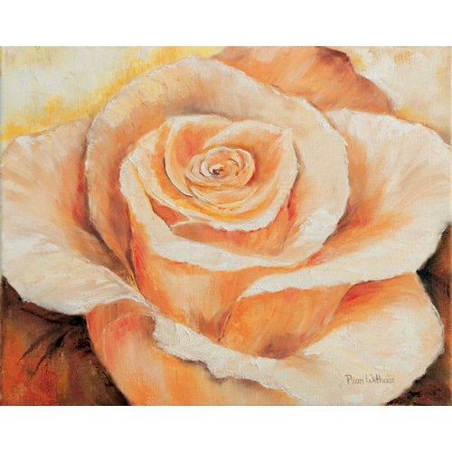 Rose in detail